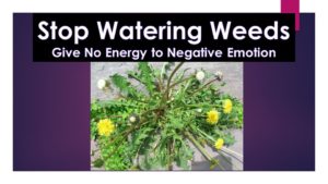 Stop watering weeds